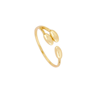 Anillo Mera Gold