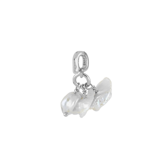 Charm Jazmin Silver