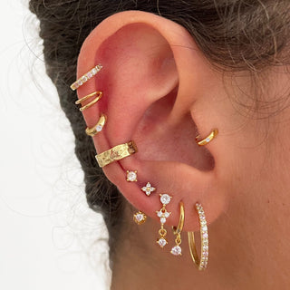 Rim 20 Gold Earrings