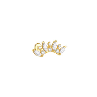 Criss Gold Piercing