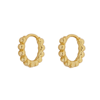 Soho 15 Gold Earrings