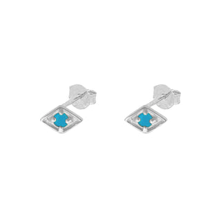 Sia Turquoise Silver Earrings