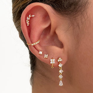 Dana Silver Earrings