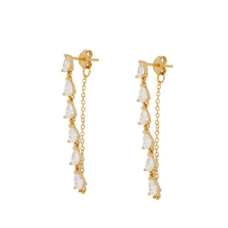 Venn Gold Earrings
